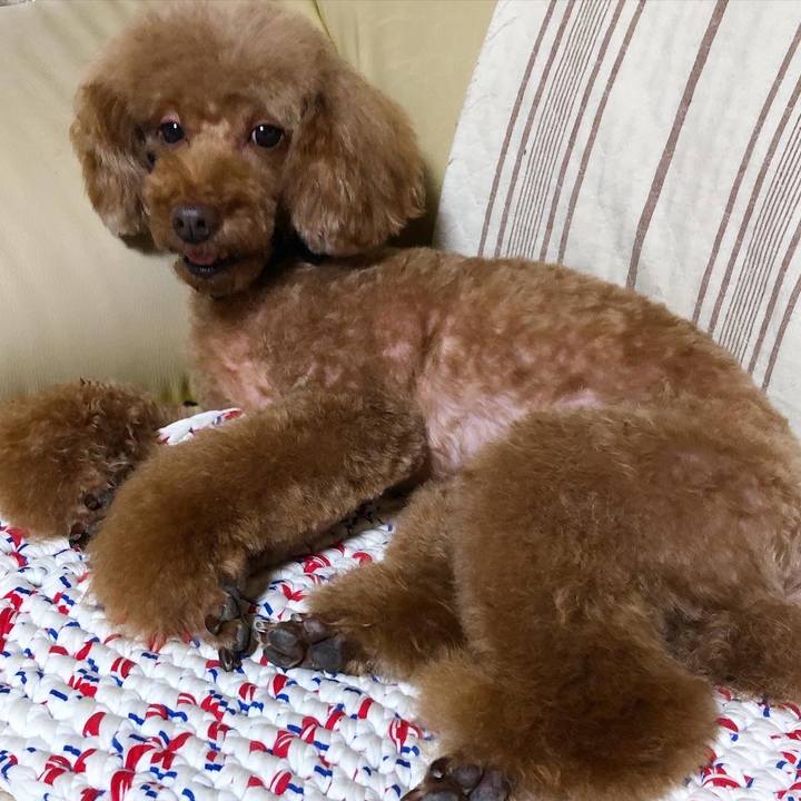 E483dd5d 6dcf 4439 9f4a d1110d3f5c79 1602394631602