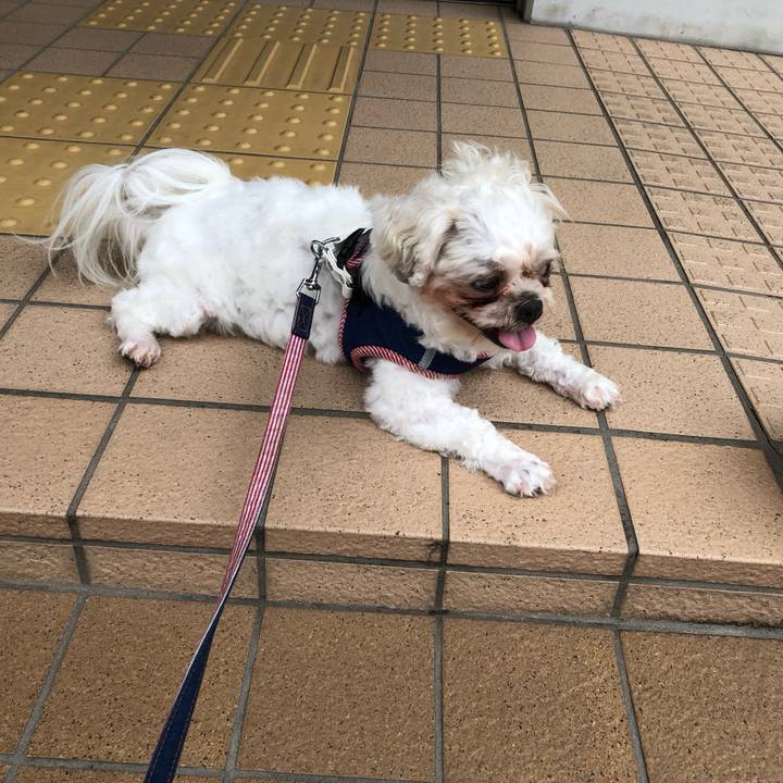 E483ff5d f4b2 4081 868c bf1d597f707b 1697060857579