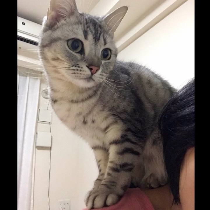 E4840348 ae0b 44ea 821f bc4c1c941613 1550788802568