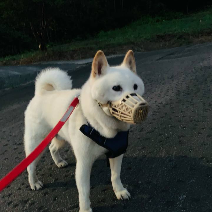 E4841267 13b7 4cd6 a3f5 1c1cb4c491f1 1628364974127