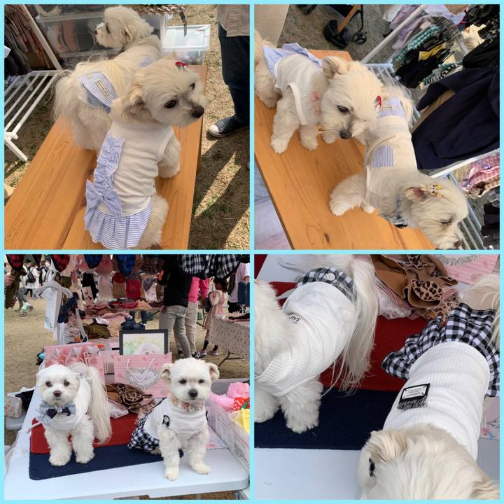 E4844662 06ac 4473 a590 6542f7626e07 1647163270159