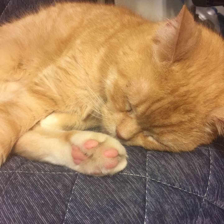 E4844b6d 9544 4cff aecd 9df30d32af7c 1559405040112