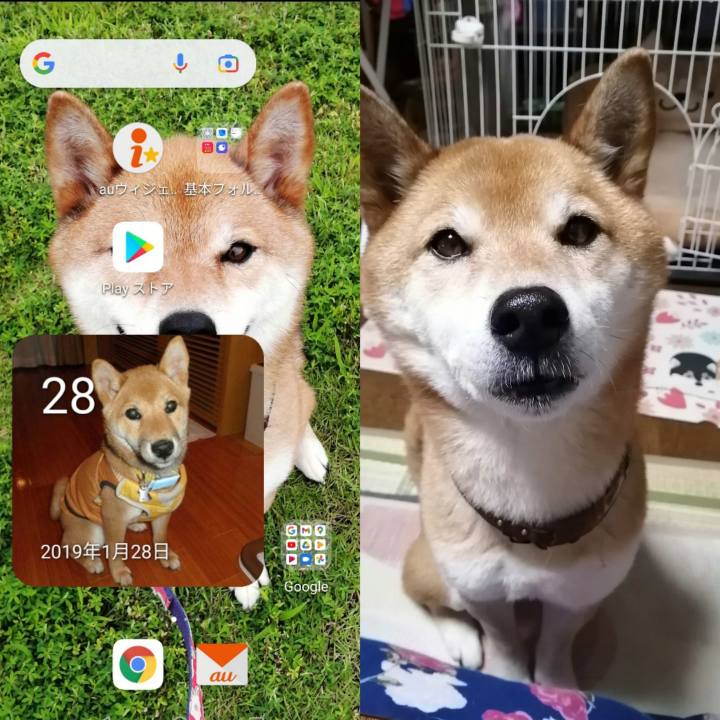 E484624f 3ec6 4a52 882d 0fb8ef80517b 1643370548438