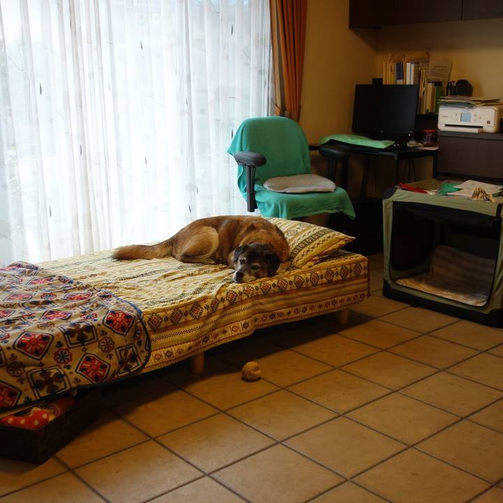 E4848966 2dba 45fb 99e6 728b6c431976 1539479176085