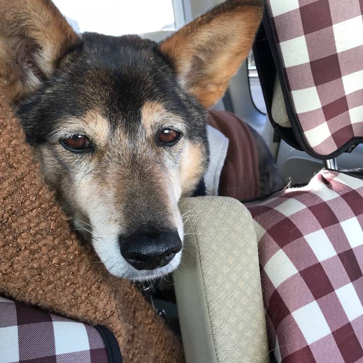 E484bfb3 9ae6 43f6 811e e1a8cb2da332 1517915498411