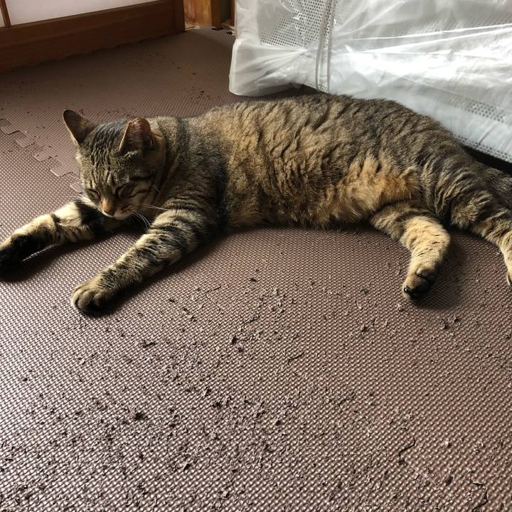 E484fe0b 2f43 448c b31b e33104616ca1 1562304862083