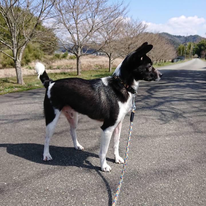 E4852b94 1ca0 4b5d ab49 3aa0b6b7f34a 1553600602264