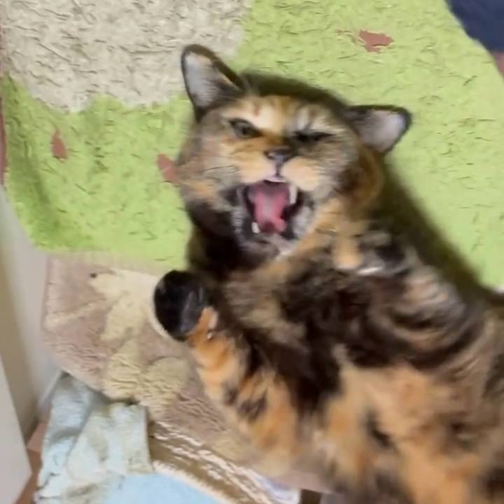 E485529a 5604 40ca be80 90a7a945b0dd 1768572534020