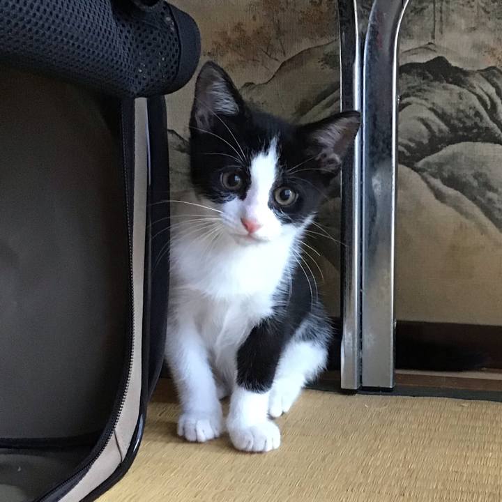 E4858599 d7ef 4835 bc22 083c1c0f4ee5 1625277394440