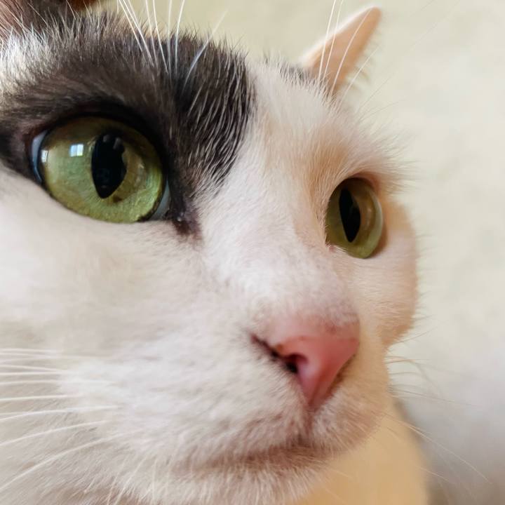 E4859289 8b9a 4fff a5b5 558a7bcecb4d 1650076276199