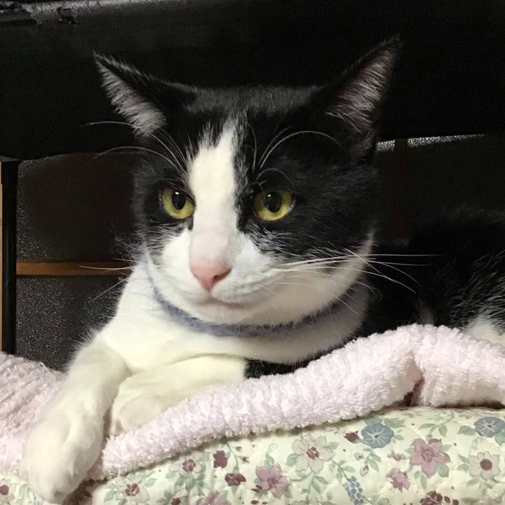 E48598d6 61d9 484a a16b 2b46350f9d5c 1670503960510