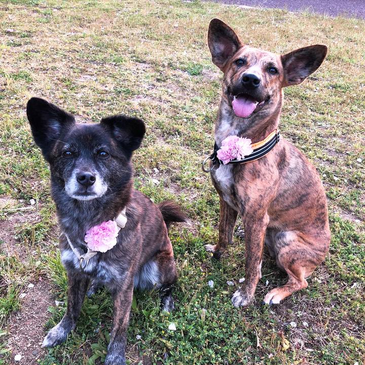 E485a3df c45c 49bf 975c 9bd06a26332a 1587221420725