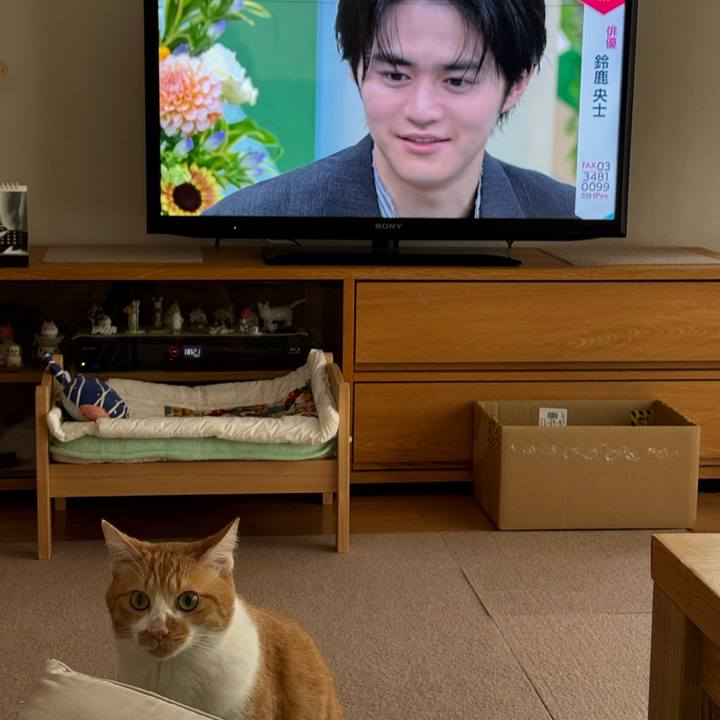 E485d05e 32ed 49a8 8fa0 f71000d9ae13 1758238937395