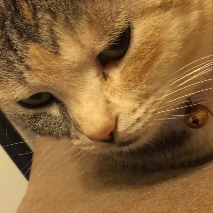 E485f8e0 d879 49b4 af38 e8dcd1439bee 1555860057319