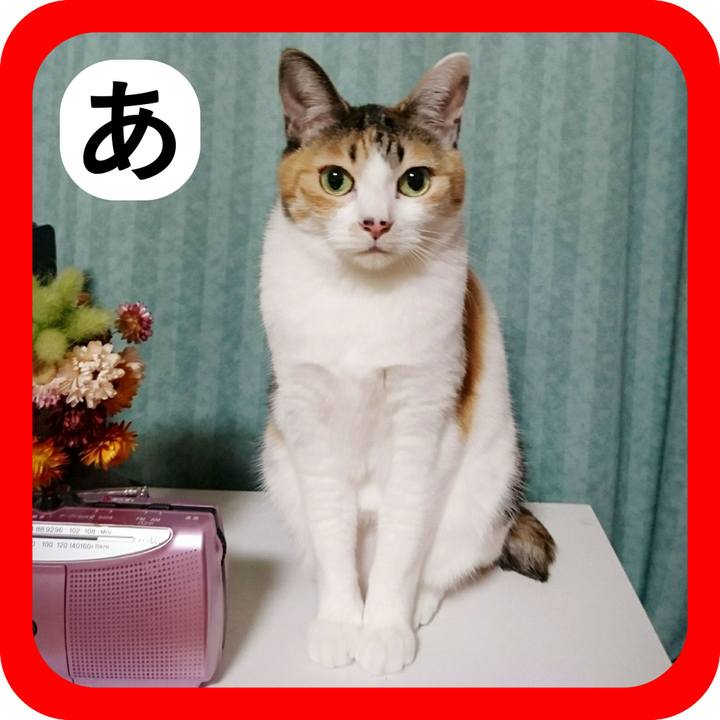 E4860d88 5060 43f0 9f4d 57ae9cac673f 1514868451225