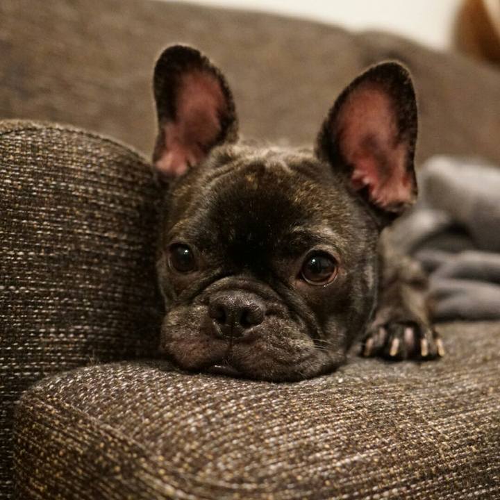 E48613c6 158e 49ce b268 ad11dfa1b923 1509021681014