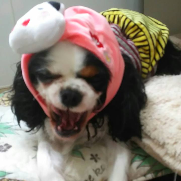 E4862ea1 4d0d 4048 9985 f7958d12e535 1549128419888