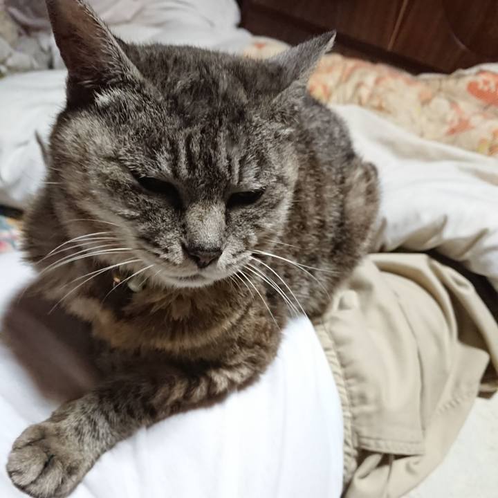 E48642e2 b59e 48b5 b2c7 0f07331de4a2 1567686901914