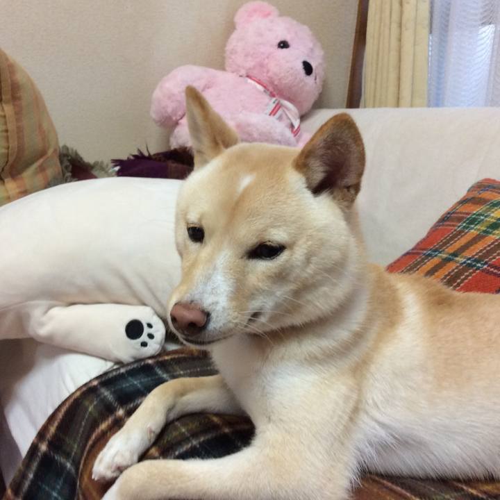 E486539f 301e 4fc5 a4f1 0b8299f51fab 1511267188108