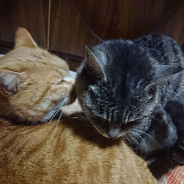 E48657ba 460a 44d3 a800 8f152c87dba8 1577272082091