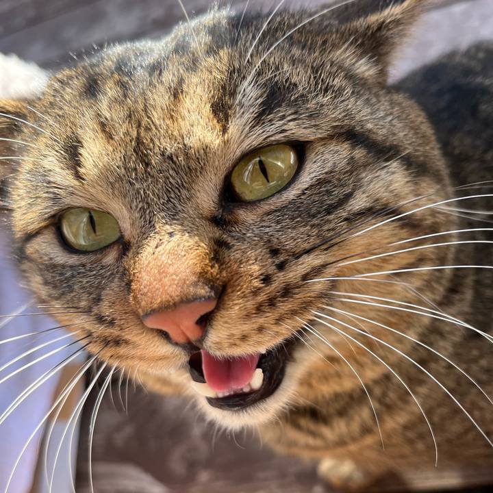 E486bae9 108e 4fa4 9e61 f3b0705d3e3f 1740442639716