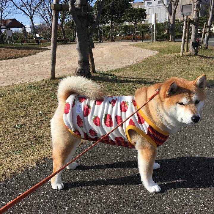 E486f923 798a 43e0 a86b 0f1127beeac1 1576384445576