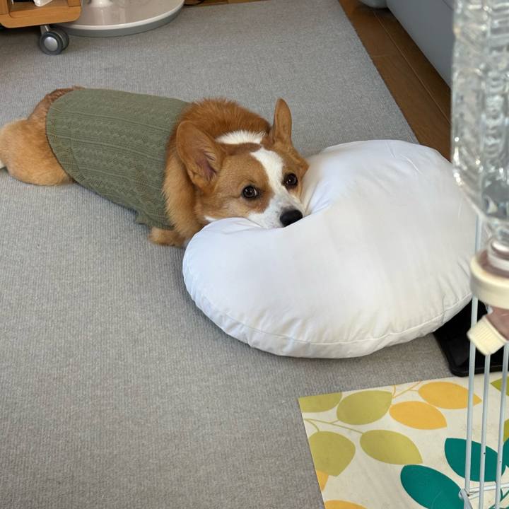 E4871d2c bc7d 4426 bf91 e998d90d5b8a 1764300196698