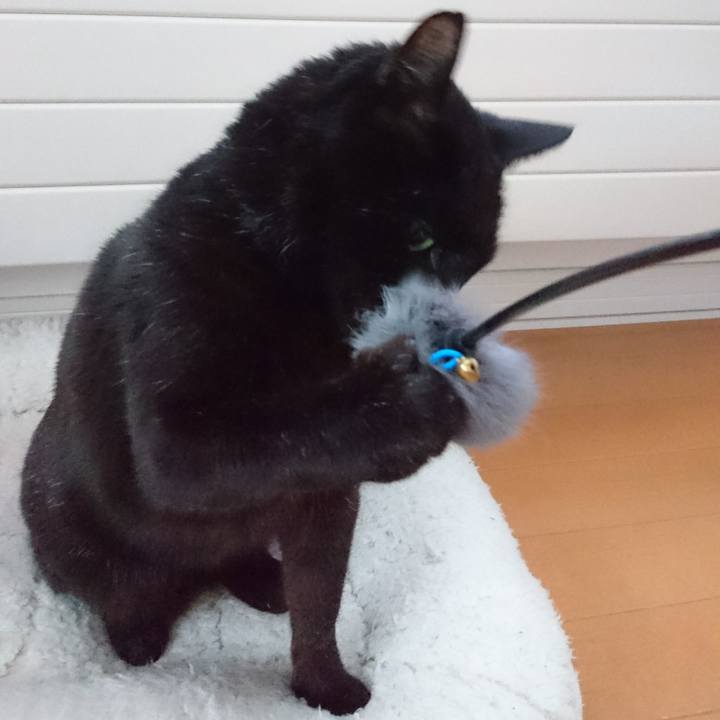 E487622f e07d 4729 9bb2 0192907c5dc4 1548915551513