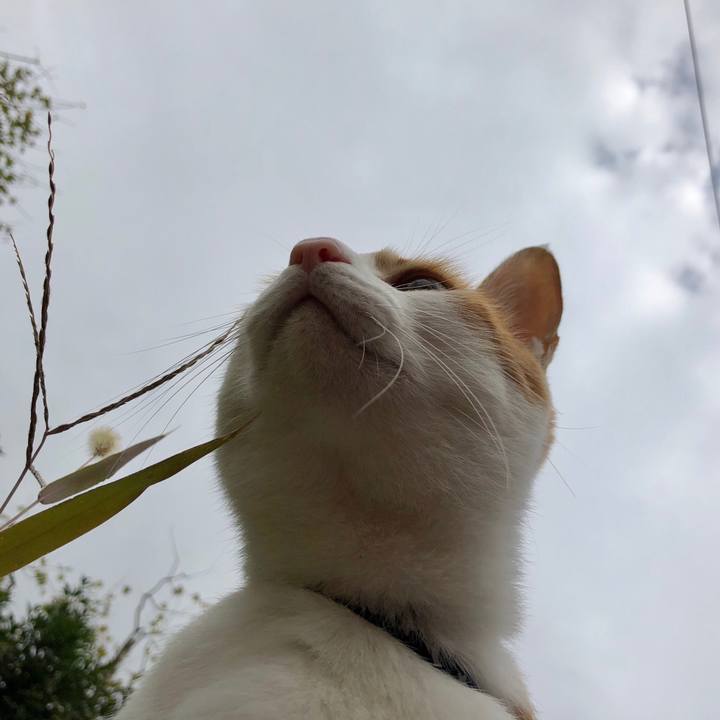 E487893f bed3 446b 89bb 68b0ca92117f 1539999372443