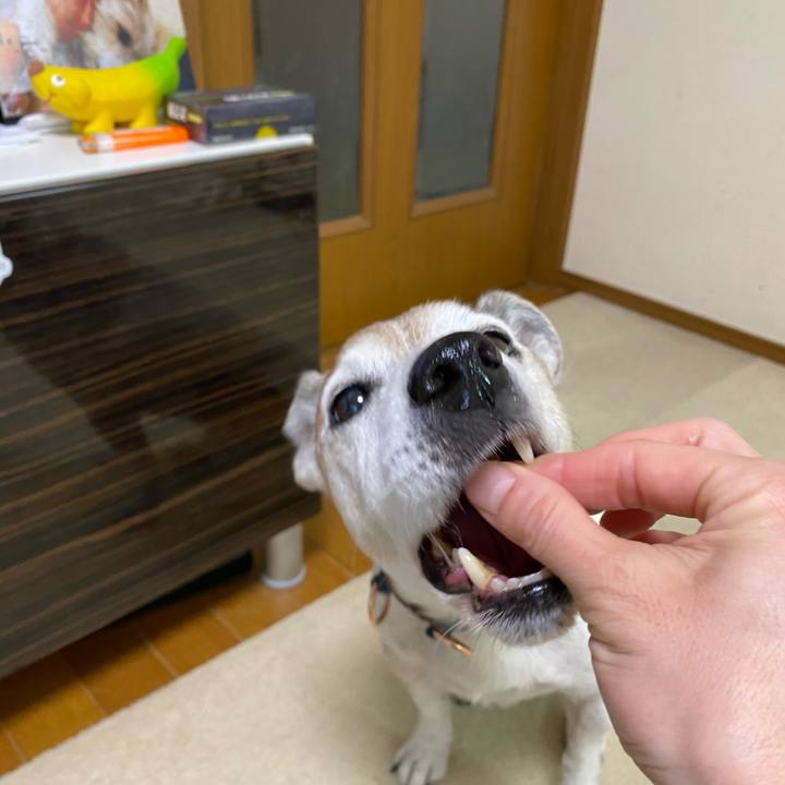 E4879cab 6f3c 45d1 b1ef 0e649f77200b 1610273788544