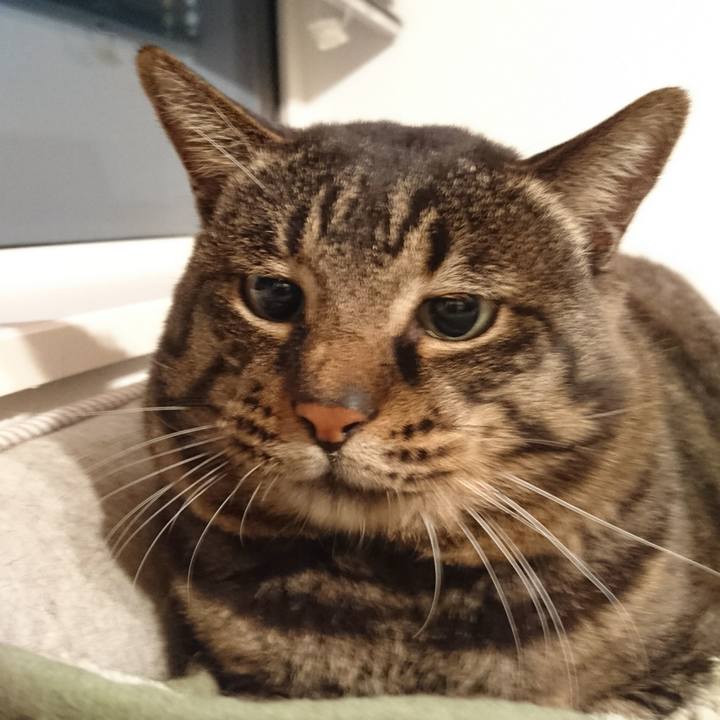 E487b1b3 fb99 49ce a19f 4689278672f0 1560051901928