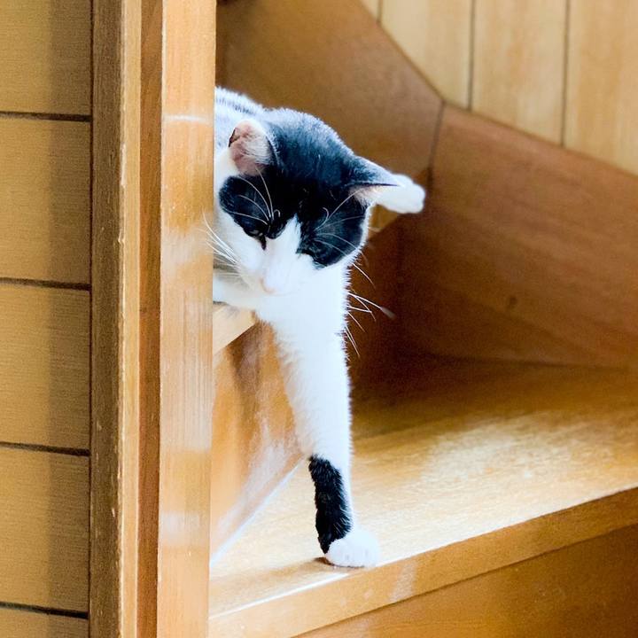 E487b962 ea5a 434f 8498 e06573f9701a 1565744868197