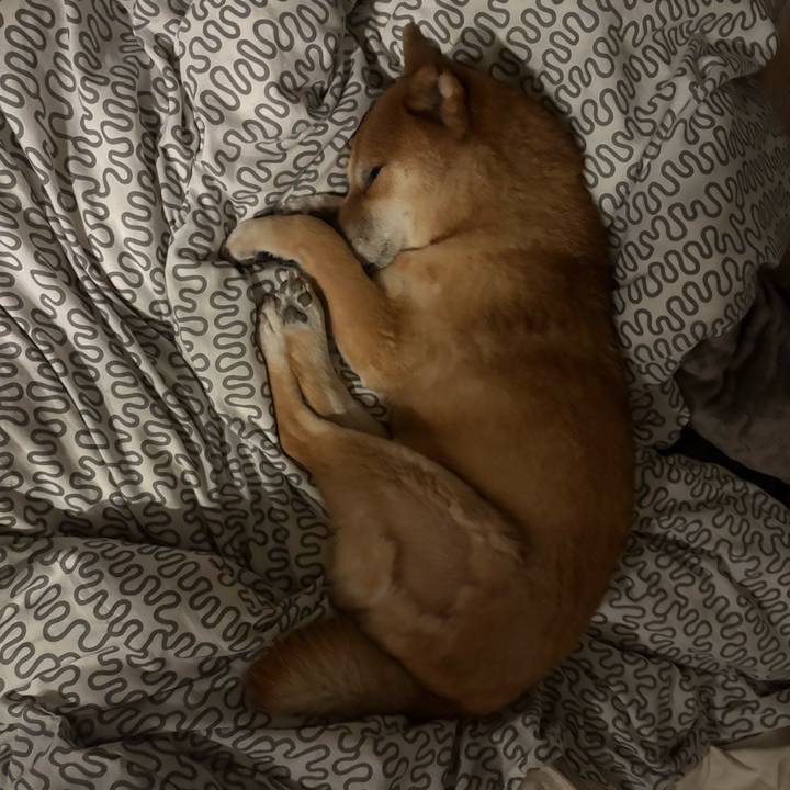 E487cf1d 395e 43dc b51a 63bd9da00680 1766216766378