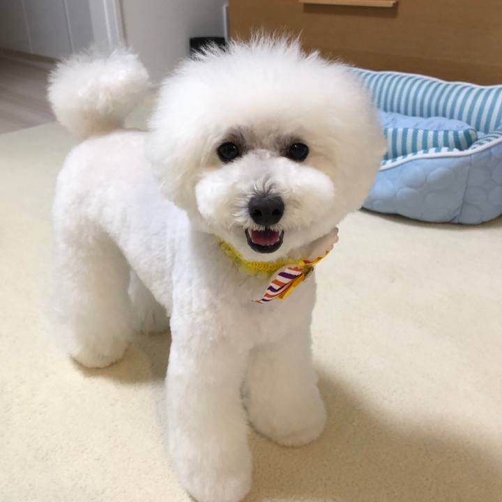 E487d69e dd5a 4ee9 9f5b e0b473a06350 1558955097443