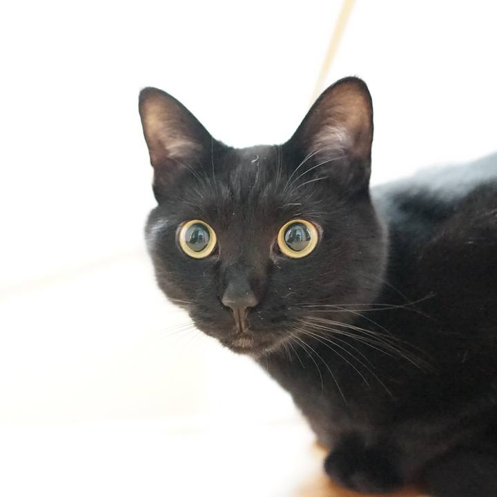 E487ddc1 3937 43c6 a0e9 afc5c50fca00 1562889491534