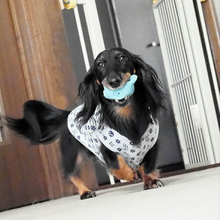 E48818c4 d4fd 422e 8caa 15915f332ac5 1540264564847