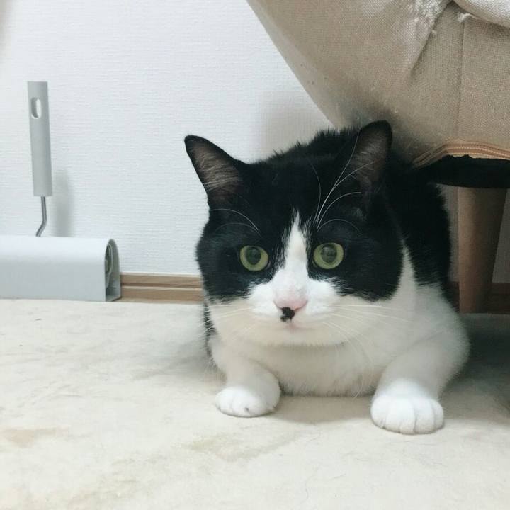 E4882a7a 4d8d 475f a451 066e89e21d0f 1515070921454