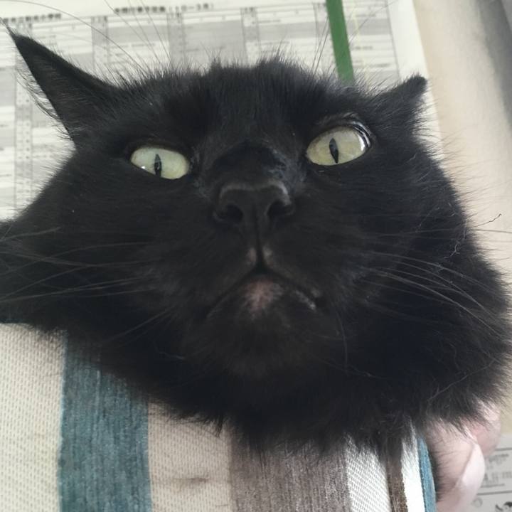 E4884480 b89a 49b6 9550 922f47bf0fe1 1540002059004