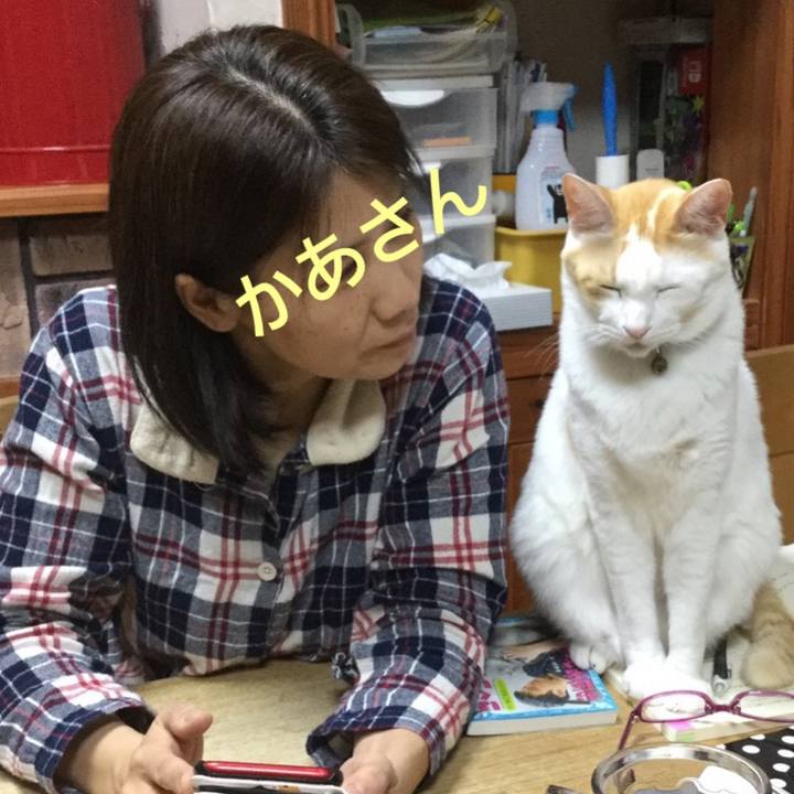 E4884aee 62b6 4c58 b018 36fb99246df2 1579442194061