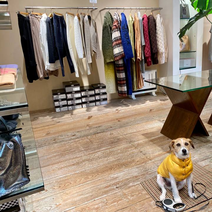 E4885486 023b 4aa6 83ac 9d377c0f3cb2 1641816933726