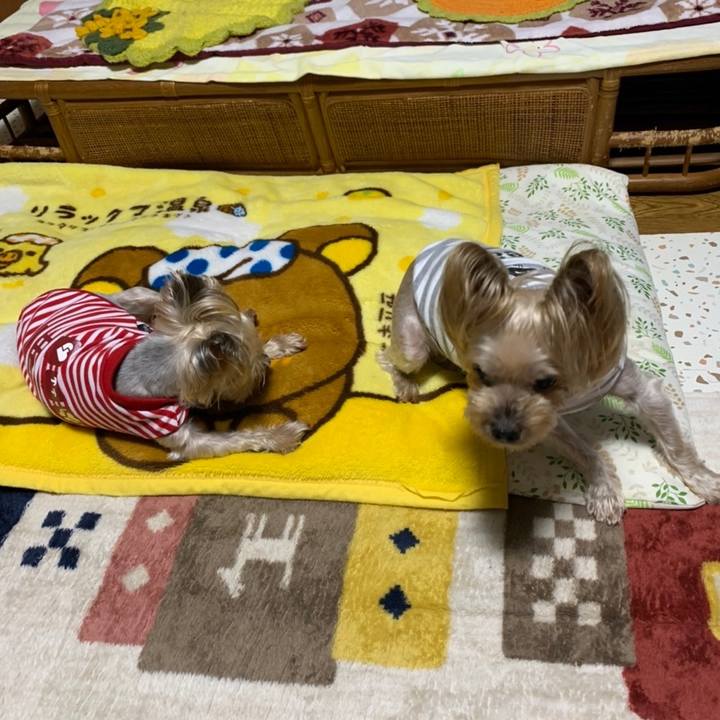 E4885662 9f03 45ed 9118 3ac85fa9850a 1668247022833