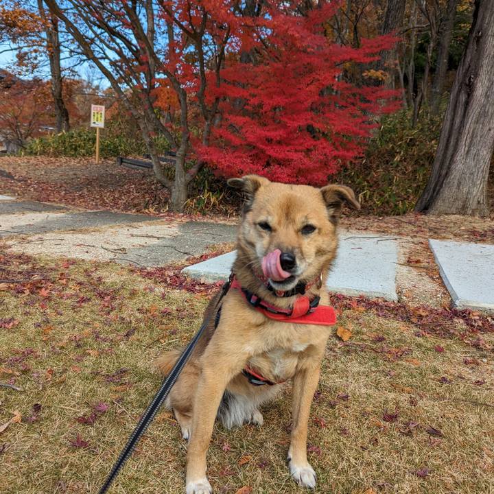 E4888c9f d628 4e10 87e8 e1715ec4ce92 1701007095996