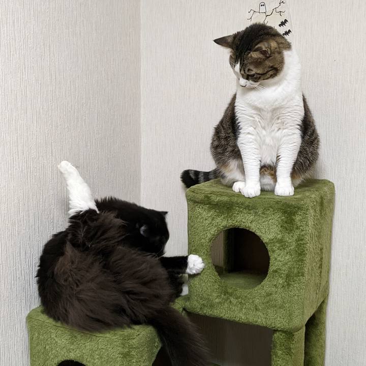 E4888ebb aee3 44ce 9566 bff384325c09 1669931622985