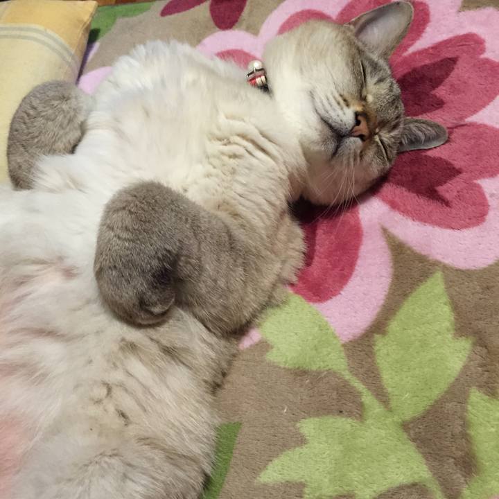 E488d931 75e1 47a0 a909 f91bc3937fae 1515927413003