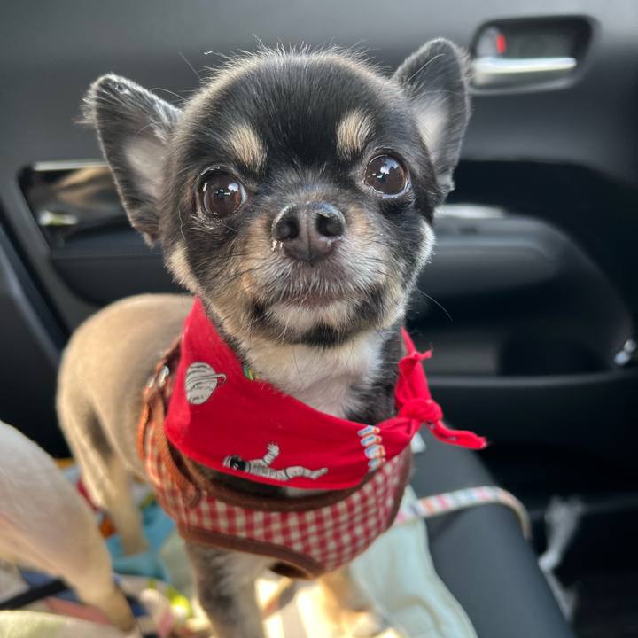 E488ecd6 1f88 4fde a2ed f9d811f70bef 1685833322707