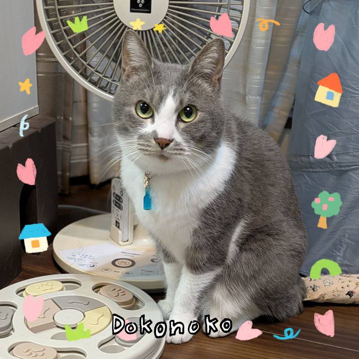 E488fdfc fdf7 4a30 bbe7 0d3006bf07f9 1741422774368