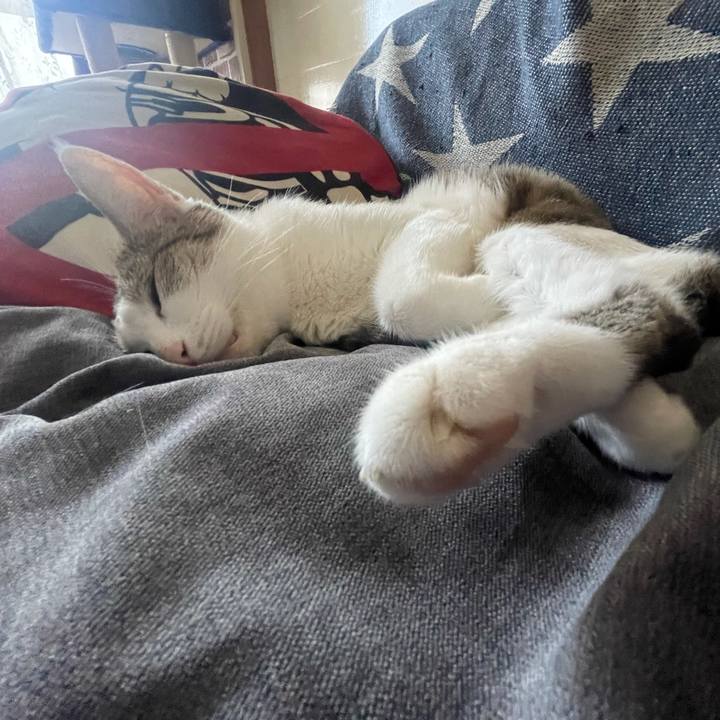 E48904e6 5d3c 474b 8093 4bc92aff1c3e 1630304133301