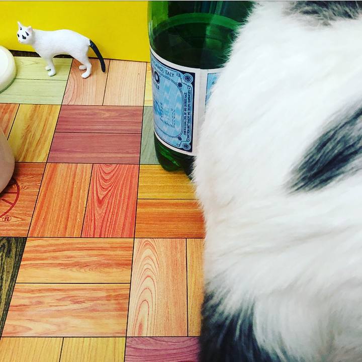 E4891086 82d6 4434 a281 1a45d57ff8cb 1525823390842