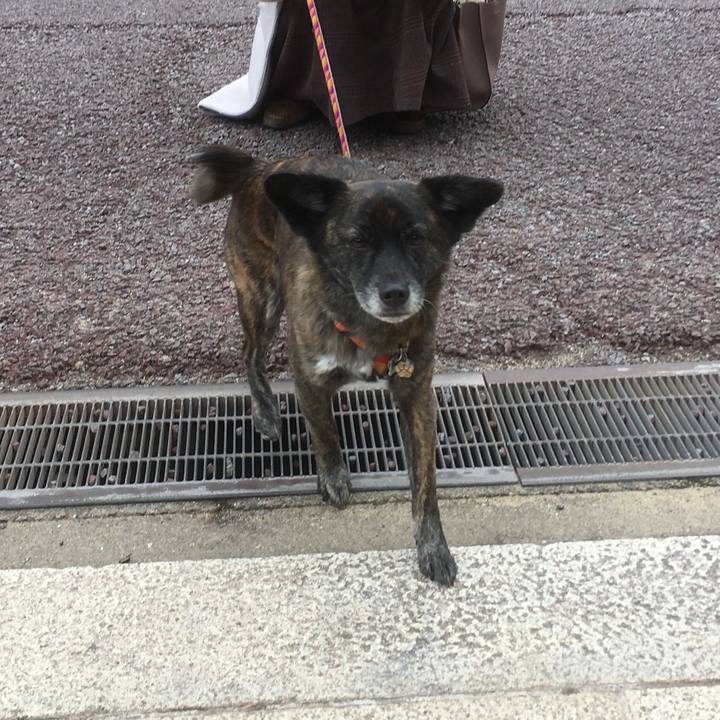 E48958d1 5a49 4fa4 81e8 8221e8e08d89 1518699928707