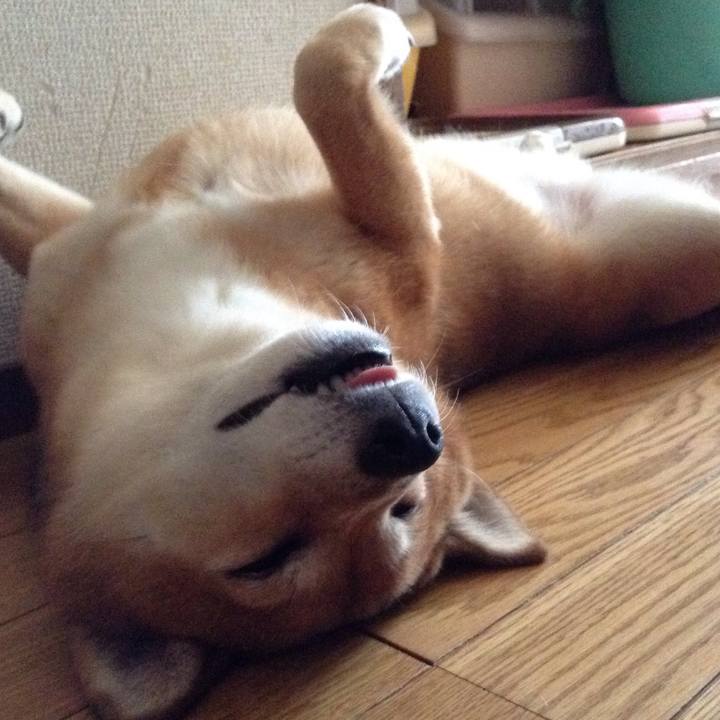 E4895dc0 247c 40f0 a51a 4e75aef875a1 1534835826416